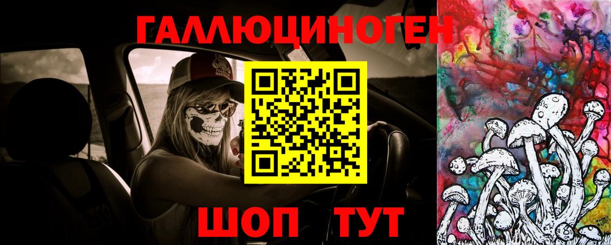 Псилоцибиновые грибы GOLDEN TEACHER  Вход с VPN  Симферополь  Псилоцибиновые грибы прущие грибы 